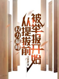 权力巅峰从提拔前被举报开始